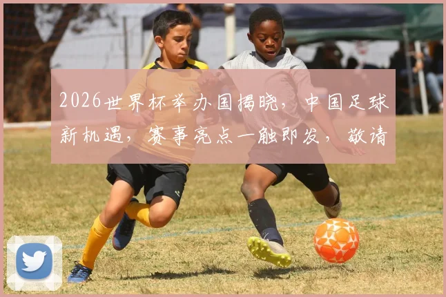 2026世界杯举办国揭晓，中国足球新机遇，赛事亮点一触即发，敬请期待