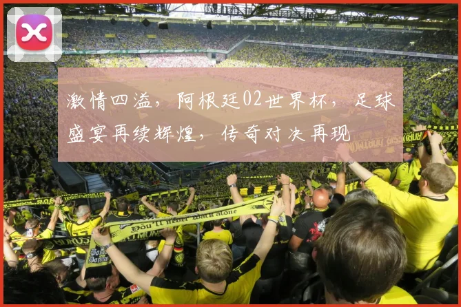 激情四溢，阿根廷02世界杯，足球盛宴再续辉煌，传奇对决再现