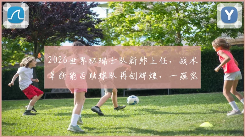 2026世界杯瑞士队新帅上任，战术革新能否助球队再创辉煌，一窥究竟